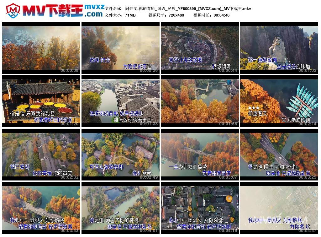 阎维文-你的背影_国语_民族_YF800899